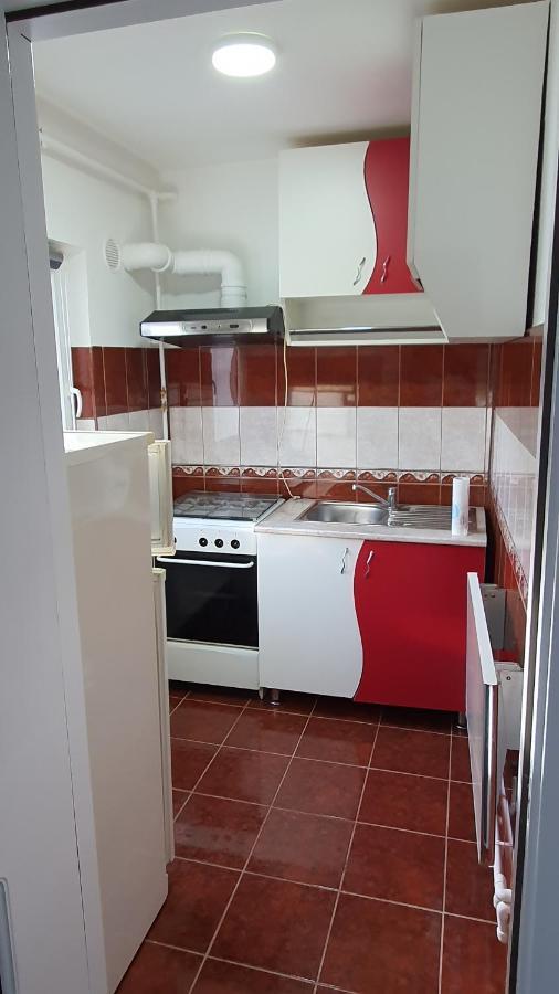 Studio Six Continents Petroşani Екстериор снимка