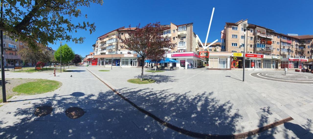 Studio Six Continents Petroşani Екстериор снимка